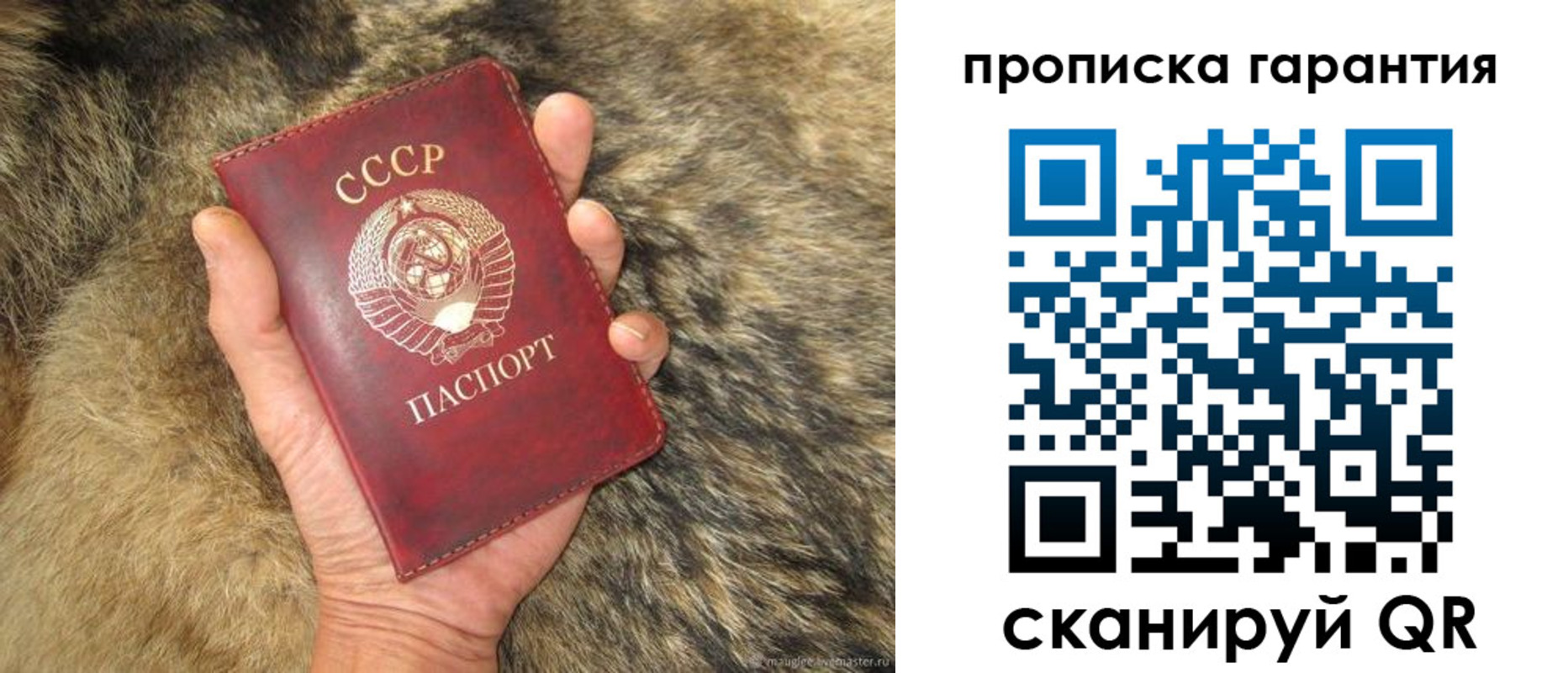 временная регистрация гарантия в Завитинске